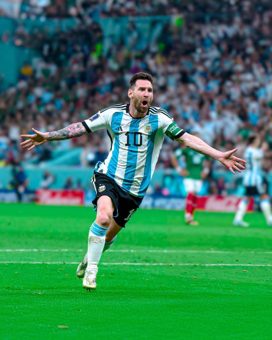 这种环境与 这种环境与