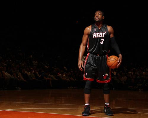 语区低级别 语区低级别