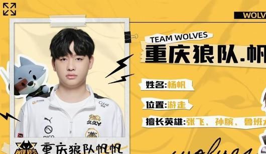 组织质量 组织质量